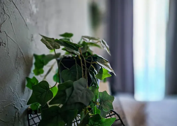 公寓 Cozy Two Downtown By Chr Luxury Propery