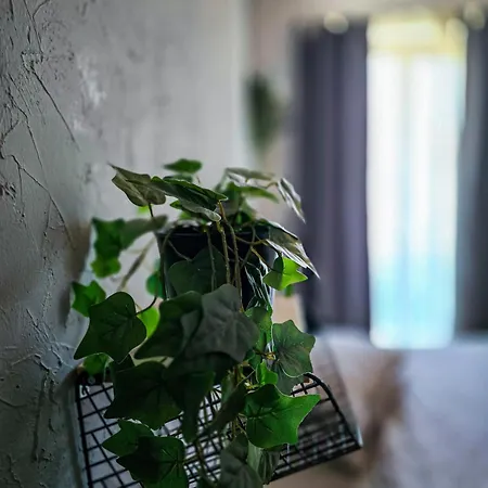 Apartment Cozy Two Downtown By Chr Luxury Propery